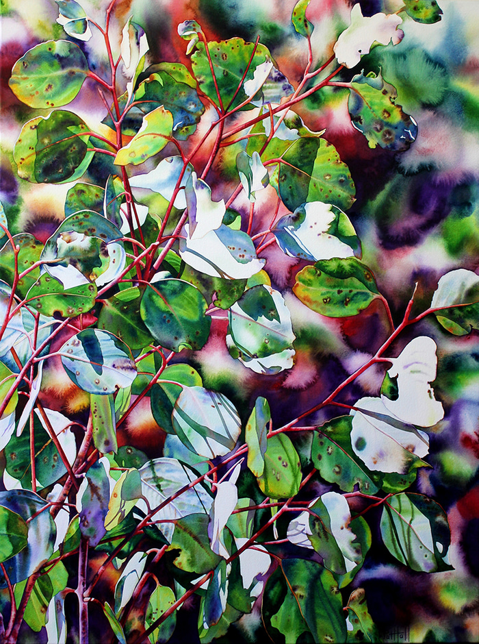 Polka by Pat Hall | Lethbridge Gallery